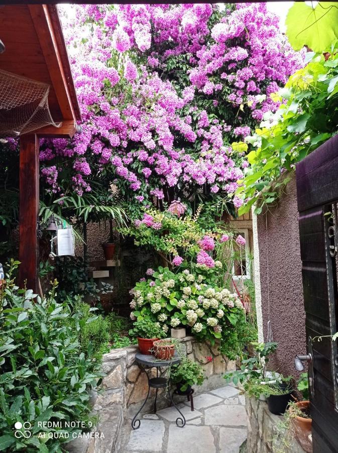 Apartman i Sobe Čule Cres Exterior foto