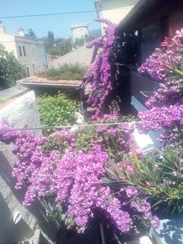 Apartman i Sobe Čule Cres Exterior foto